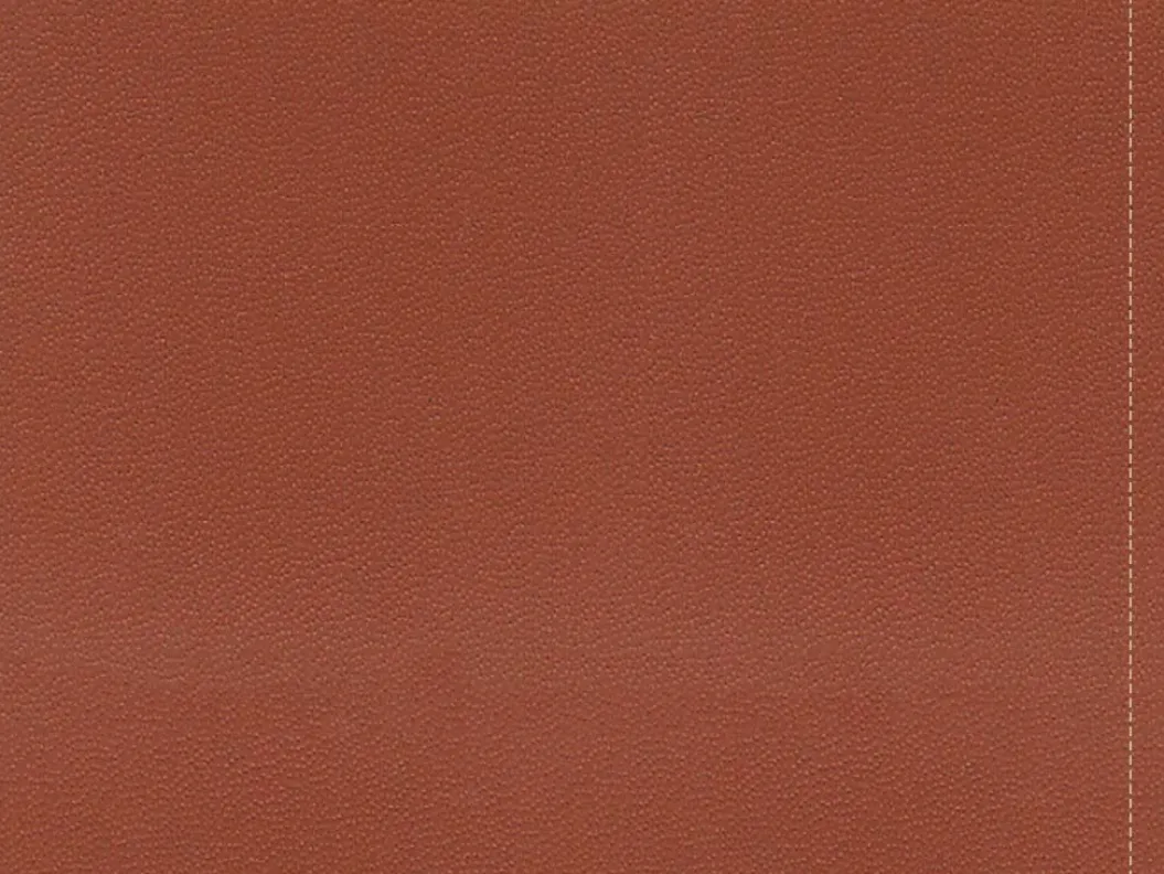 FLEXUS Couchtisch