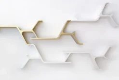 SINAPSI Regal